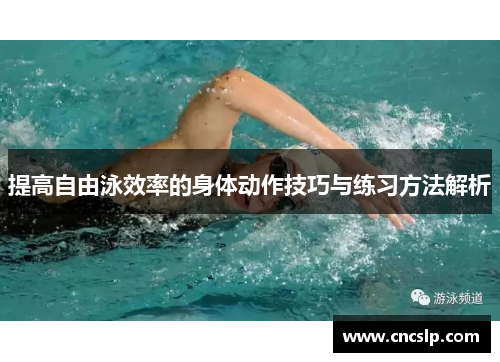 提高自由泳效率的身体动作技巧与练习方法解析 提高自由泳效率的身体动作技巧与练习方法解析